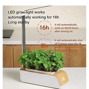 Hydroponics garden NEW